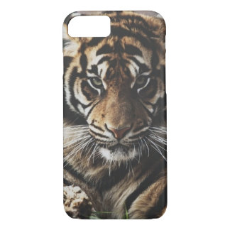 Tiger-Fall Case-Mate iPhone Hülle