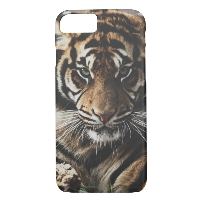 Tiger-Fall Case-Mate iPhone Hülle (Rückseite)