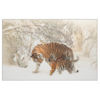 Tiger-Familien-Baby