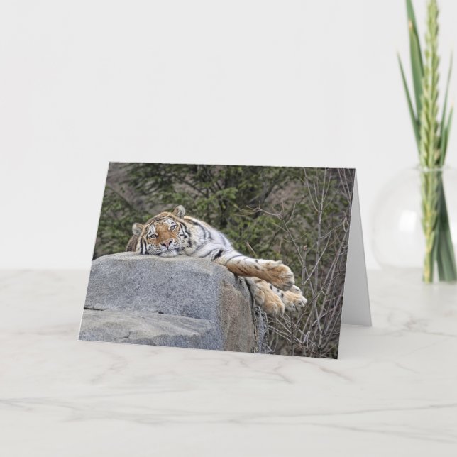 Tiger-"fauler Tages" Gruß-Karte Karte (Vorderseite)