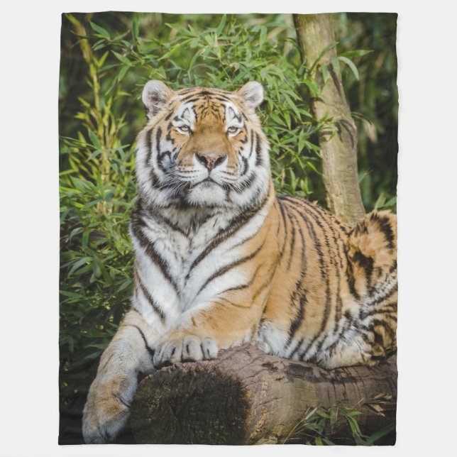 Tiger-Fleece-Decke Fleecedecke (Vorderseite)