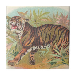 Tiger Fliese