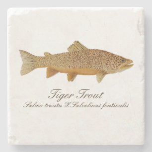 Tiger-Forelle-Untersetzer Steinuntersetzer