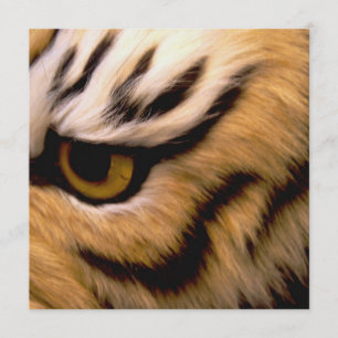 Tiger-Foto-Einladung Einladung