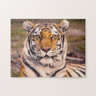 Tiger Foto Portrait Puzzle