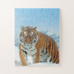 Tiger Foto Snow Mountains TierWinter Puzzle<br><div class="desc">Tiger Foto Snow Mountains Tierwinterpuzzle.</div>