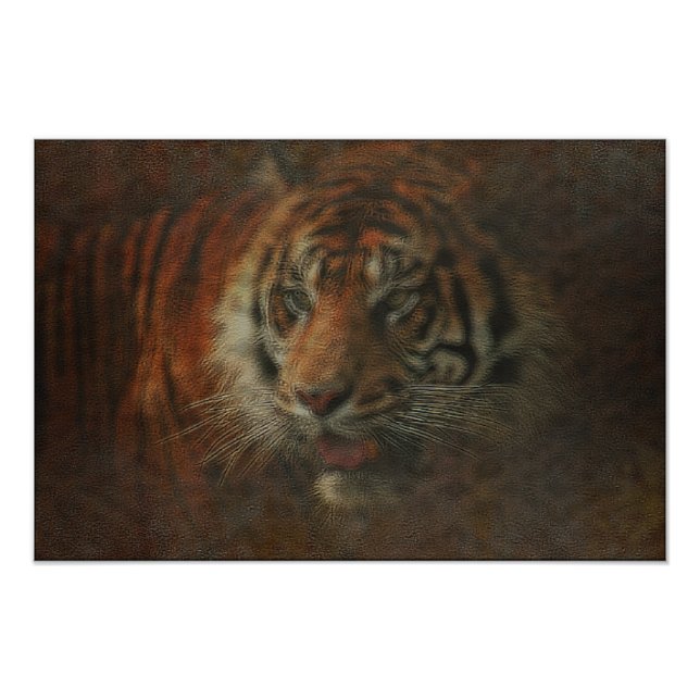 Tiger Fotodruck (Vorne)