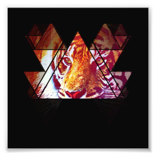 Tiger Fotodruck (Vorne)