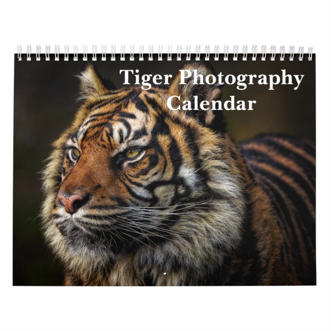 Tiger Fotografy Wild Animal 2025 Kalender (Titelbild)
