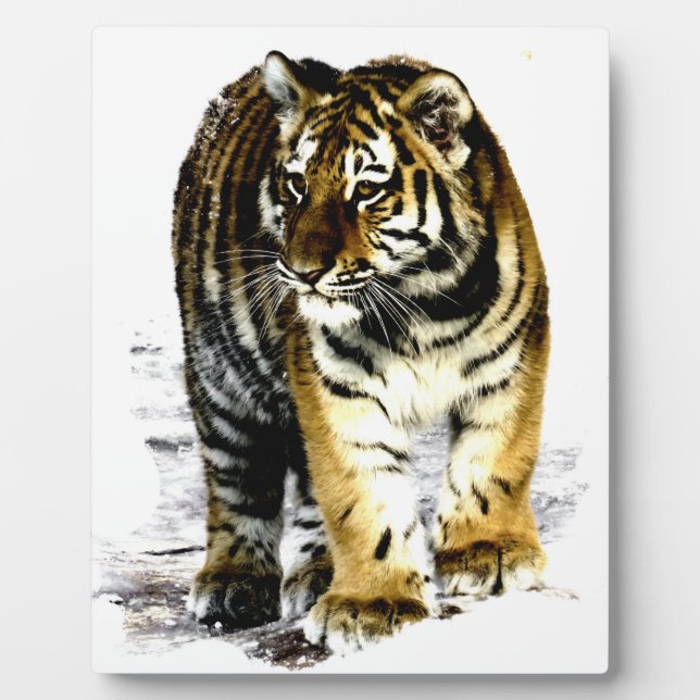 Tiger Fotoplatte (Vorderseite)
