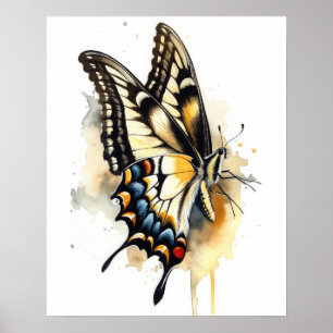 Tiger Frack Butterfly Art Print Poster