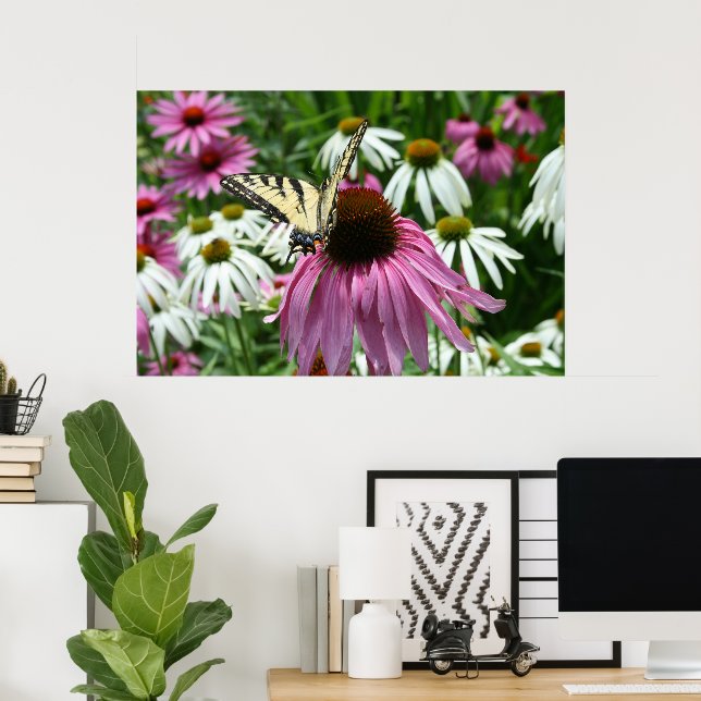 Tiger Frack Butterfly Coneflower Poster (Heimbüro)