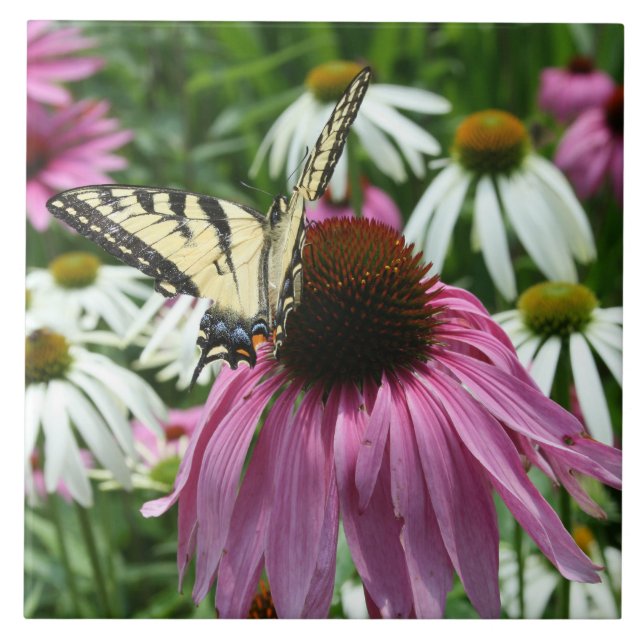 Tiger Frack Butterfly Keramik Tile Fliese (Vorderseite)