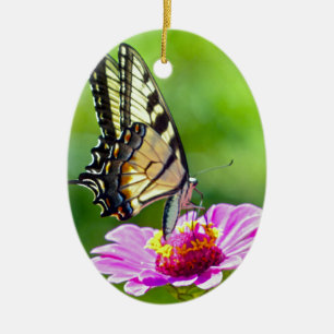 Tiger Frack Butterfly Keramikornament