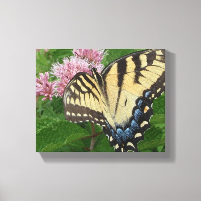 Tiger Frack Butterfly Leinwanddruck (Vorderseite)