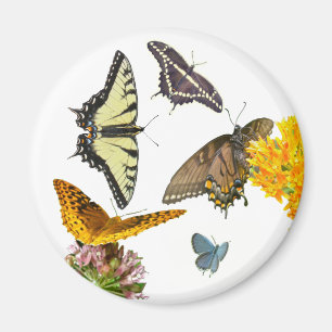 Tiger Frack Butterfly Magnet
