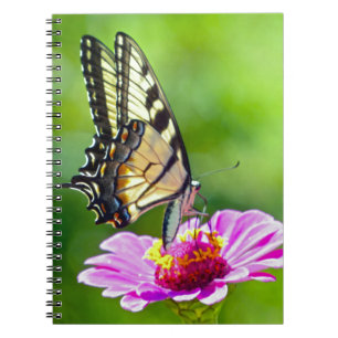 Tiger Frack Butterfly Notizblock