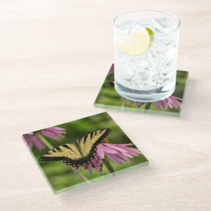 Tiger Frack Butterfly on Coneflower Untersetzer
