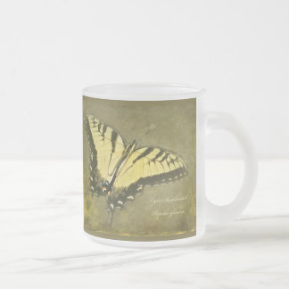Tiger Frack Butterfly - Papilio glaucus Mattglastasse