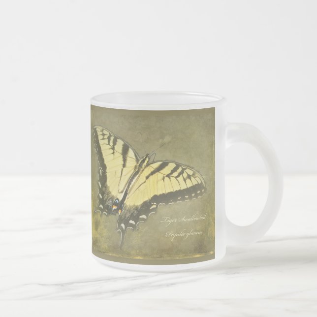 Tiger Frack Butterfly - Papilio glaucus Mattglastasse (Rechts)
