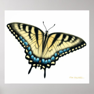 Tiger Frack Butterfly Print Poster