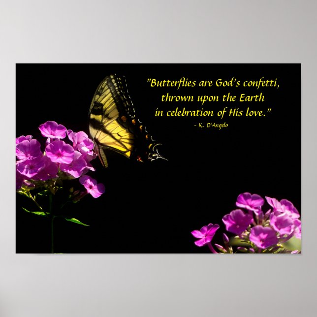 Tiger Frack Butterfly und Wild Phlox Poster (Vorne)