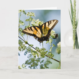 Tiger Frack Muttertagskarte Karte