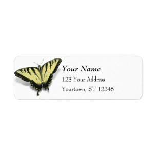 Tiger-Frack-Schmetterling