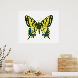 Tiger-Frack-Schmetterling Poster