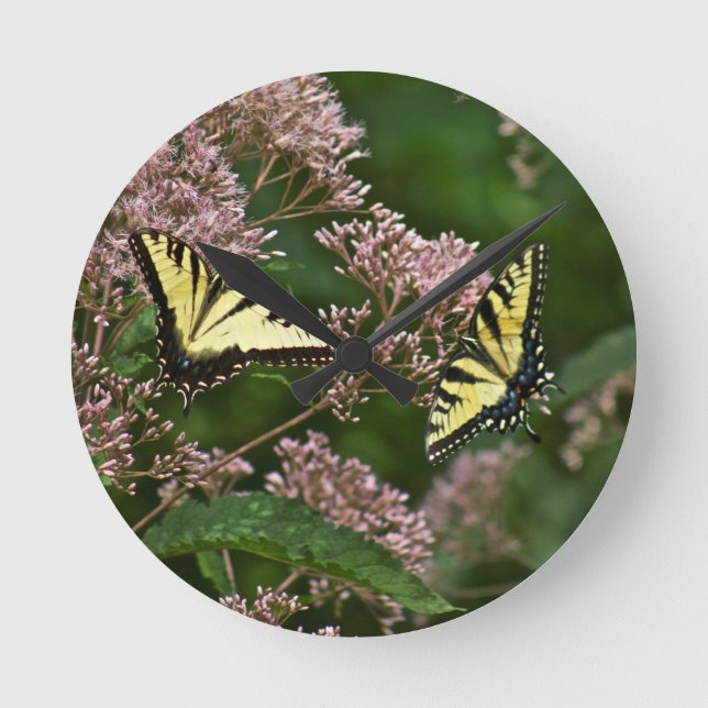 Tiger-Frack-Schmetterlinge auf Joe Pye Weed Runde Wanduhr (Vorderseite)