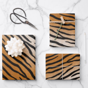 Tiger Fur Realistisch gestreifte Wildtierdrucke Geschenkpapier Set