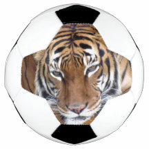 Tiger - Fußball