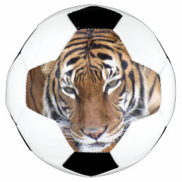 Tiger - Fußball