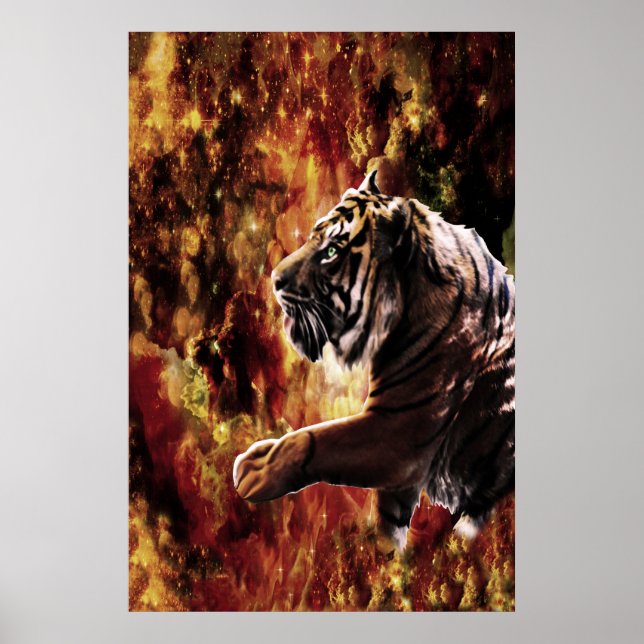 Tiger Galaxy Poster (Vorne)