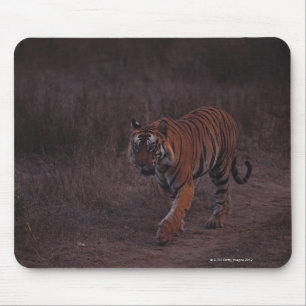 Tiger geht entlang Spur Mousepad