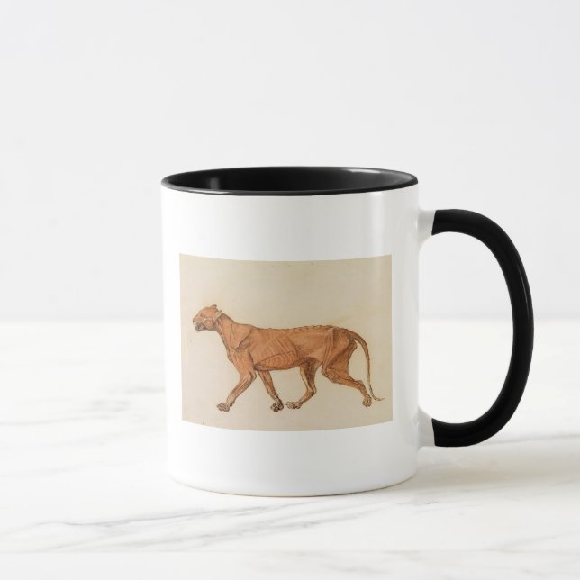 Tiger Georges Stubbs |, seitliche Ansicht, Haut Tasse (Rechts)