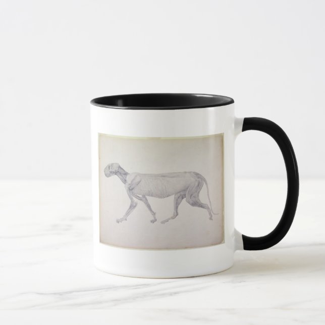 Tiger Georges Stubbs |: Seitliche Ansicht, Tasse (Rechts)