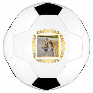 Tiger Gerahmt Fußball
