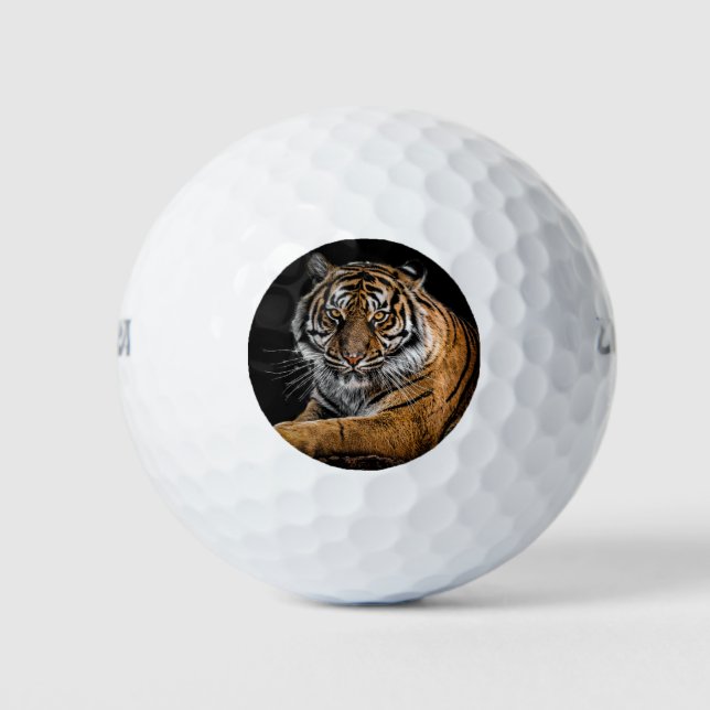 Tiger GOLF BALLS Golfball (Vorderseite)