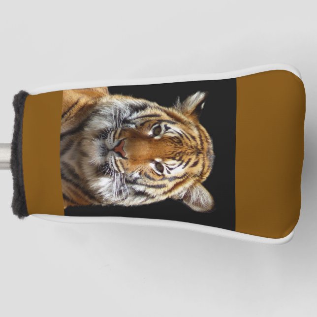 Tiger Golf Golf Headcover (Vorderseite)