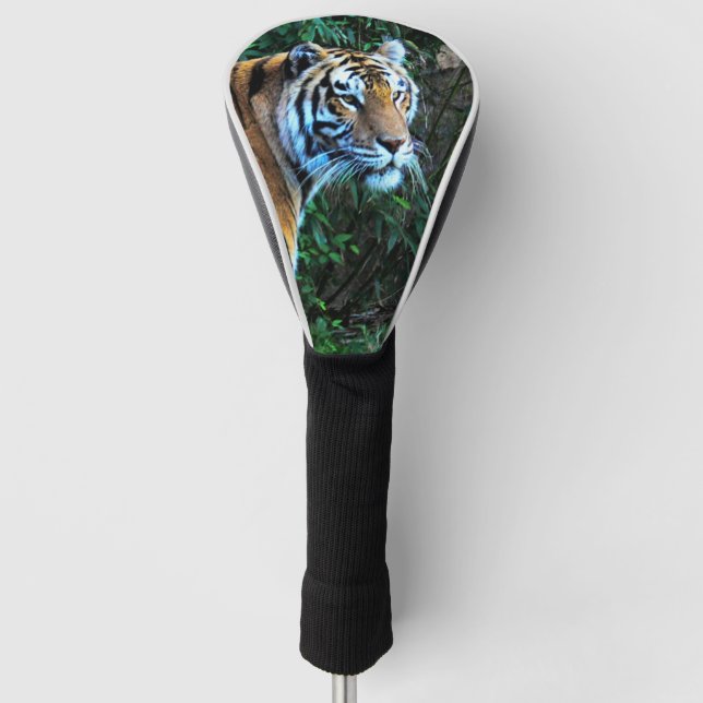 Tiger Golf Headcover (Vorderseite)