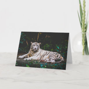 Tiger Greeting Card Karte