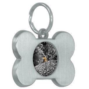 Tiger Guck-guck-Halsband Tiermarke