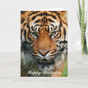 Tiger - Gute Geburtstagskarte Karte