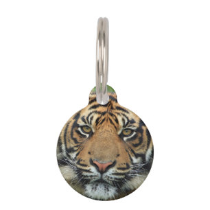 Tiger Haustiermarke