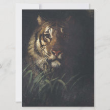Tiger Head (von Abott Handerson Thayer)