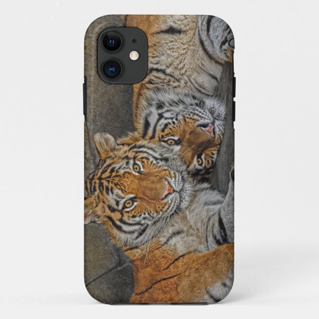 Tiger-Höhle Case-Mate iPhone Hülle (Rückseite)