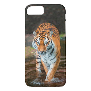 Tiger im Fluss Case-Mate iPhone Hülle