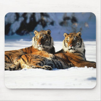 Tiger im Schnee Mousepad