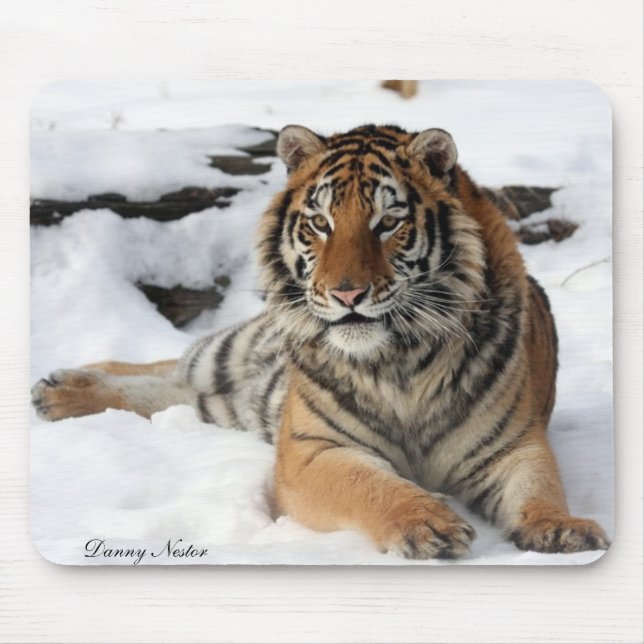 Tiger im Schnee Mousepad (Vorne)